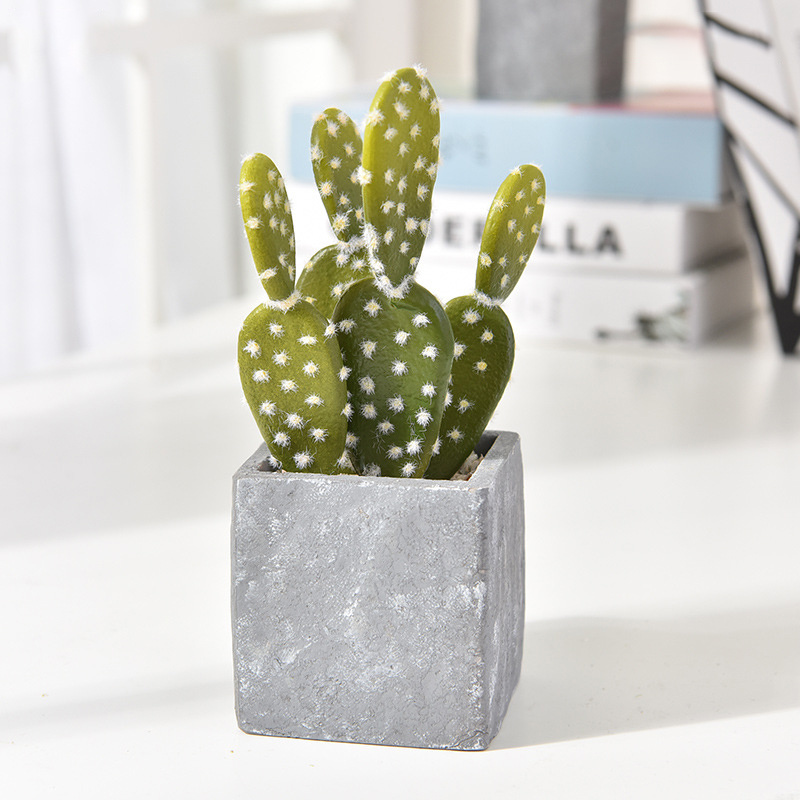 Faux-Succulent-Cactus-Faked-Air-Plants-with-Gray-Pots-for-Desktop.jpg